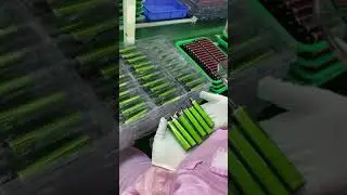 This is how factory tests Vape
