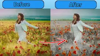 2 Step color isolation by kinemaster.Edit Idea