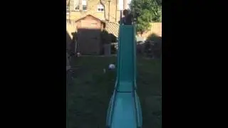 Dog loves slides