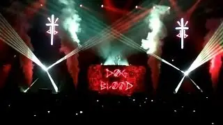 Dog Blood Lasers (Skrillex and Boys Noize) - LaserTech Canada