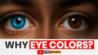 Why Do Humans Have Different Eye Colors? The Science Hiding Inside Your Eyes!