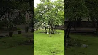 Breathe, relaxing view, #relaxingmusic #calm #growingtrees #freshair #livingtogether