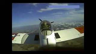 Final Flight