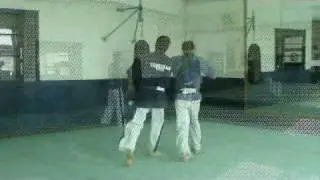 Yoseikan aikido LYON