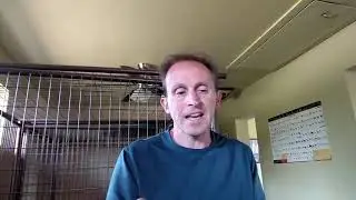 How To Make Raw Dog Food:  Pathogen Control & Cleaning
