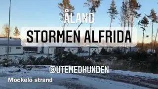 Efterdyningarna fr&aring;n stormen Alfrida