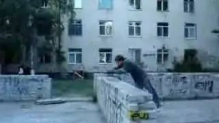 fly roll