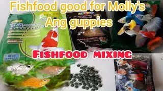 Fish Food Mixing/Fish food For Molly's and Guppies etc