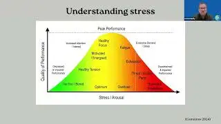 Mental health Strategy - Undserstanding Stress In The Workplace