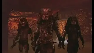 The Predator