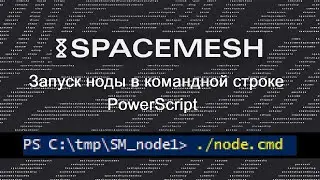 Запуск ноды Spacemesh в командной строке. Утилита PowerScript. CLI, go-spacemesh
