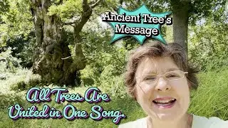900+ year old Oak has regrown many times. It says: