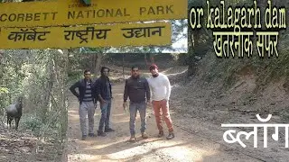 Jim corbett national park vlog #kalagarh dam tiger reserve #safari #tiger #bolger #reaerve vlog 1