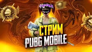 ИГРАЕМ С КОМАНДОЙ SEXY TEAM❤️
