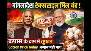 ⚠️ 1 फरवरी से बड़ा धमाका ! बांग्लादेश मिल बंद | Cotton Rate Update | cotton rate today