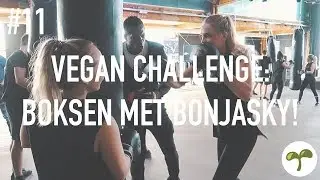 BOKSEN MET REMY BONJASKY! #11
