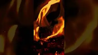 Cozy Fireplace #fireplacesounds #relax #fire #fireplace #relaxingfire