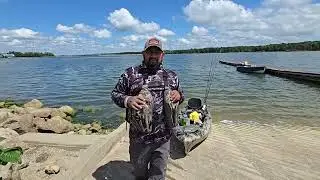 pesca de crappies con minnows en columbus ohio