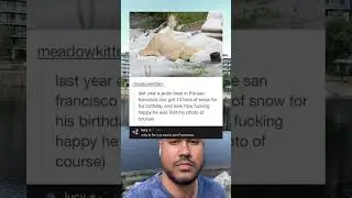 Last year, a polar bear and the San Francisco zoo got 10 tons of snow for his birthday