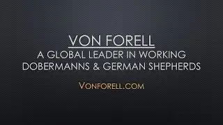 Von Forell German Shepherds & Hound TV with kris Kotsopoulos