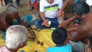 ACTIVE 80 & ACTIVEZYME ON FIELD DEMO