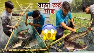 Giant Fish Catch in Village RiverTraditional Net Fishing #fishing 