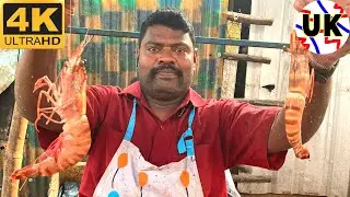 KASIMEDU SELVAM PRAWN CUTTING VIDEO | KASIMEDU SPEED SELVAM PRAWN CUTTING | UK SONS MARINE