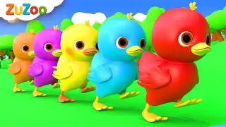 5 Little Ducks(Learn Colors Song) | ZuZoo Nursery Rhymes & Kids Songs