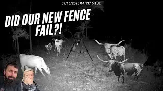 CRAZY Things That Happened on Our Farm Last Night!