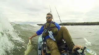 Catch Fish Or Die Trying