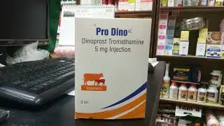 Pro Dino - Dinoprost Tromethamine 5MG Injection - Vvaan LifeSciences