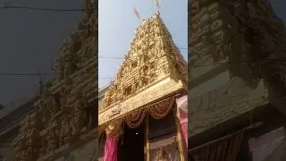 Shree Swami Samarth Samadhi Math Akkalkot Maharashtra. #shorts #viral #trending