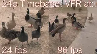 10 VFR Variable Frame Rate