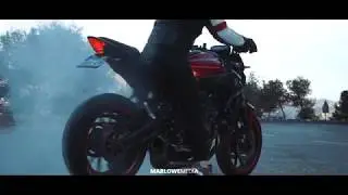 RIDE YOUR LIBERTY - LINE MT