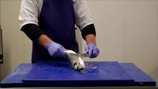 Premier Fish Preparation - Scaling Bream