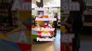 The Amsterdam Duck Store #cruise #travel #travelvlog #amsterdam #europe #duck #free #netherlands