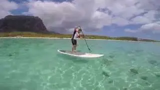 SUP Safari in Le Morne