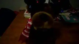 Merry Christ-moose!