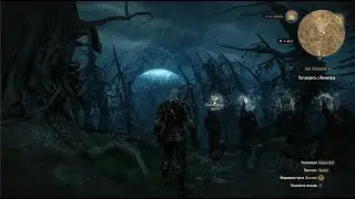 The Witcher 3: Wild Hunt #111 Эхо прошлого. Пропал человек. Хиндарсфьялль