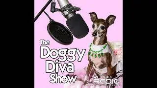The Doggy Diva Show - Episode 144 Canine Arthritis | Scooter's DM Journey