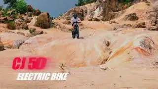 1000W Fat Tire Electric Bike &ndash; 26