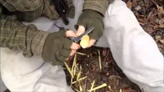Basic Woodscraft 101 The Tent Peg