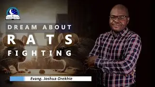 Dream About Two Rats Fighting - Biblical Meaning from Evangelist Joshua