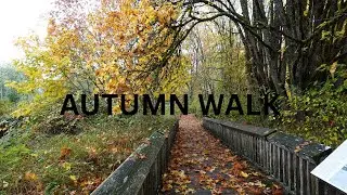 AUTUMN WALK | NISQUALLY WILDLIFE REFUGE | BEAUTY OF FALL #nature #naturephotography