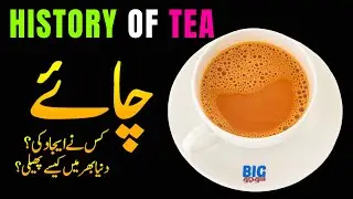 Who Invented Tea? The Amazing History of the World&rsquo;s Favorite Drink | Faisal Warraich
