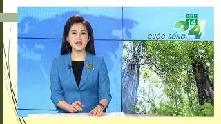 CN12  B&agrave;i 4 Sinh trưởng v&agrave; ph&aacute;t triển của c&acirc;y trồng HĐ kh&aacute;m ph&aacute;