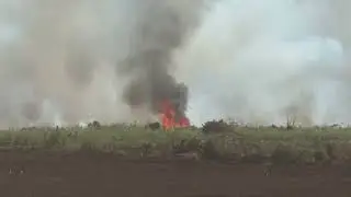 Fünf Verletzte bei verheerendem Brand im Moor Göldenitz