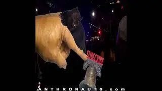 ЧЕРНЫЙ: Происхождение