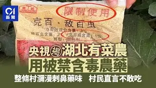 【01秒看新聞】央視揭有菜農用被禁含毒農藥　整條村瀰漫藥味　村民：我都不敢吃｜01新聞｜農藥｜湖北｜央視