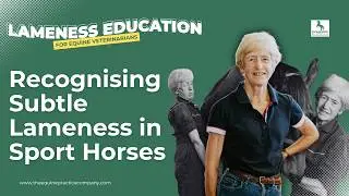 Recognising Subtle Lameness in Sport Horses: Vet Insight on Missed Cases